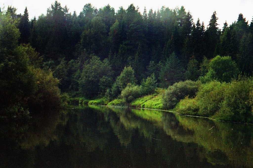 Село Парфеньево Костромской