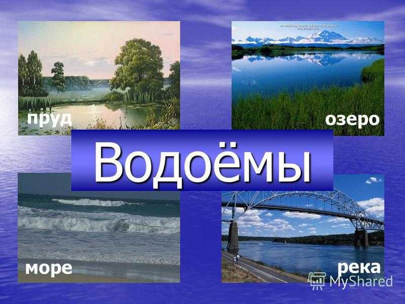 Проект пять морей и озеро. Водоемы окружающий мир. Рассказать о водоеме. Доклад о водоемах. Презентация на тему водоемы.