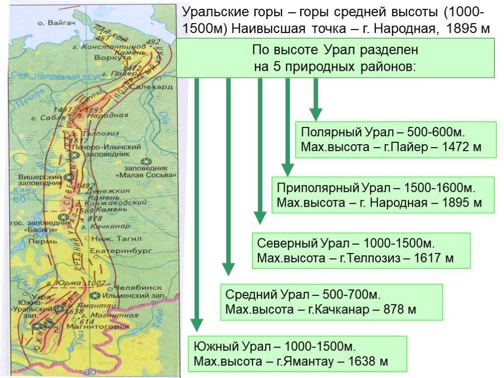 Уральские горы в какой части материка находятся. Урал Уральские горы географическое положение. Уральские горы на карте России с городами и реками. Уральские горы гора народная на карте. Северный Урал Южный Урал средний Урал карта.