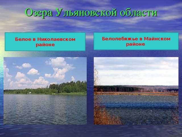 Водоемы ульяновской области проект