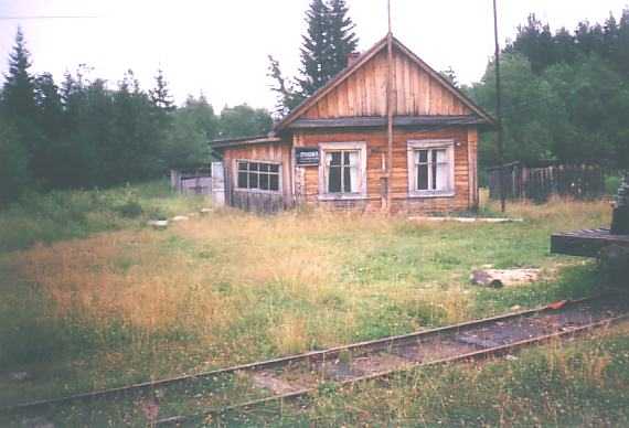 Рыбалка на реке шелони дорожкой