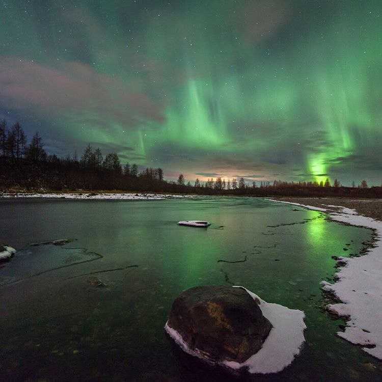 Салехард тундра