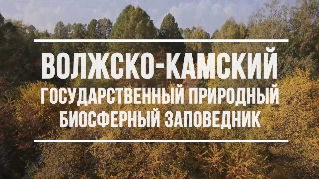 Волжско камский заповедник рисунок