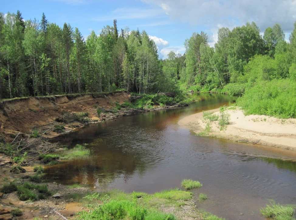 Устье реки юг. Исток реки Юг Вологодская область. Река Юг Подосиновского района. Река Юг Кировская область. Река большой Юг Вологодская область.