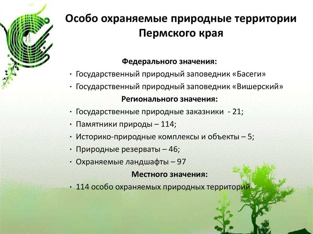 Пермский край экология и природопользование