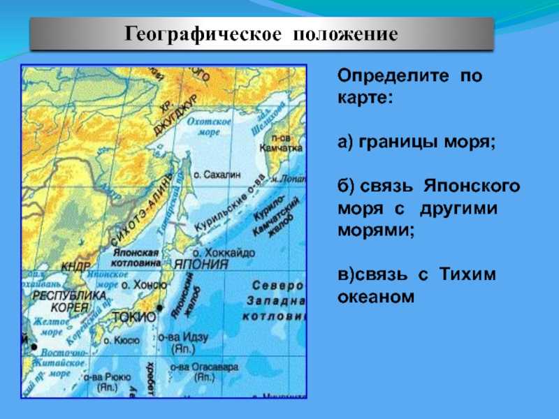 Интересные факты о японском море, климат, флора и фауна, рекреация и туризм