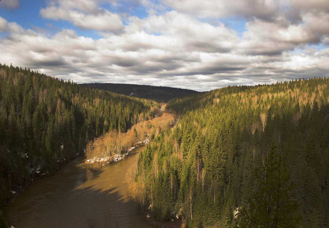 река вижай пермский край