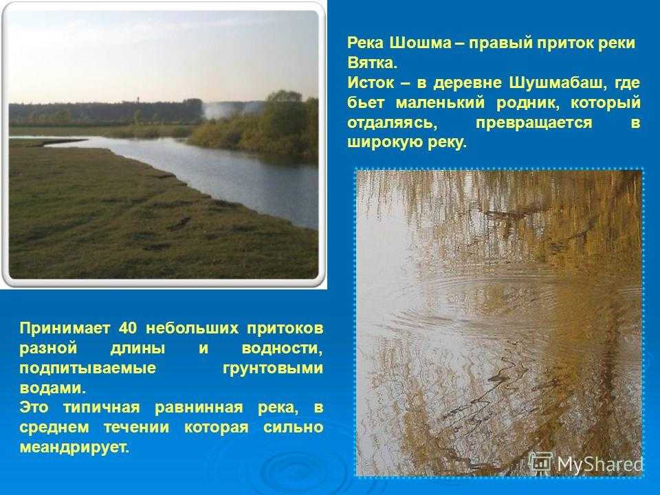 Реки сделано человеком. Притоки реки Вятки 2 класс. Река Шошма. Река Вятка впадает. Течение реки Вятка в Кировской области.