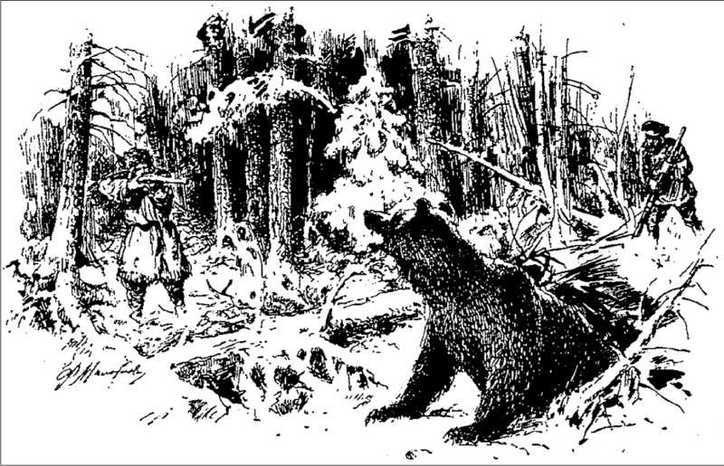 Охота на медведя. размышления после медвежьих игрищ | общество | аиф югра