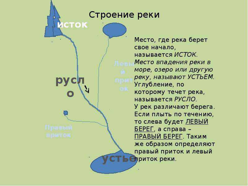 Откуда берет. Строение реки. Строение части реки. Части реки определения. Место где протекает река.