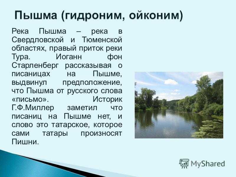 Уровень воды в пышме тюмень. Притоки реки Пышма. Река Пышма Свердловская область. Исток реки Пышма. Куда впадает Пышма.