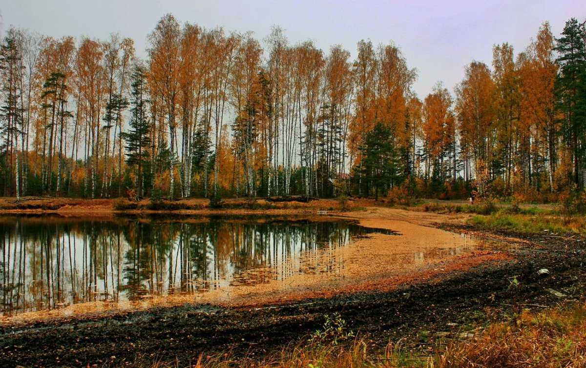 черное озеро чувашия