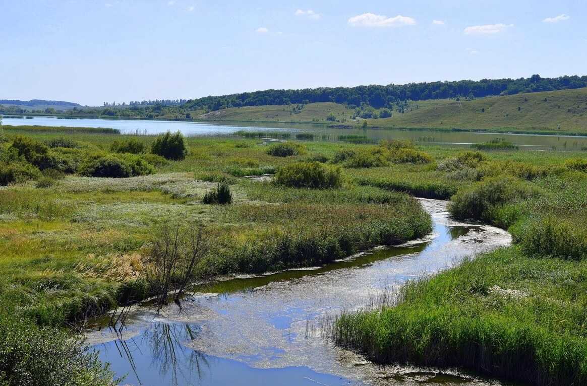 Притоки оскола. Речка в Белгороде. Река Разуменка Белгородская область. Донецкая Сеймица река Белгородская область. Река разумная Белгородская область.