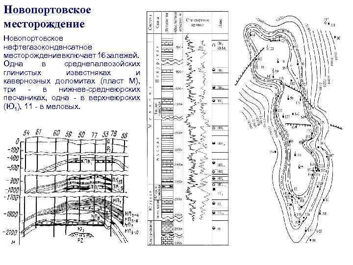 Месторождение характеристика. Структурная карта Новопортовского месторождения. Новопортовское месторождение геологический разрез. Новопортовское месторождение Геология месторождения. Бованенковское месторождение геологический разрез.