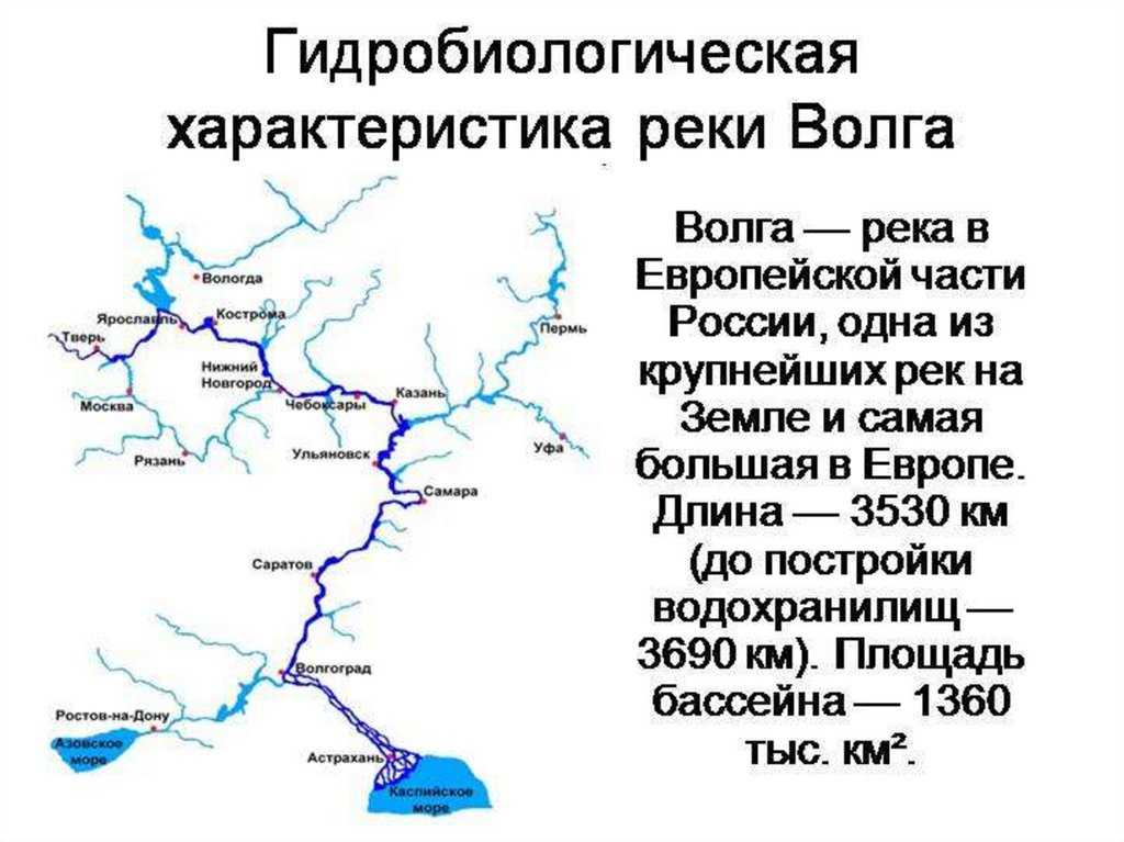 Какие города стоят на волге 2. Схема реки Волга. Схема реки Волга с притоками. Схема течения реки Волги. Протяженность реки Волга от истока до устья.