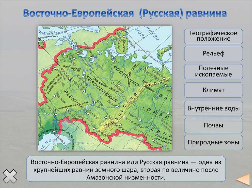 Где находится восточно европейская равнина карта россии