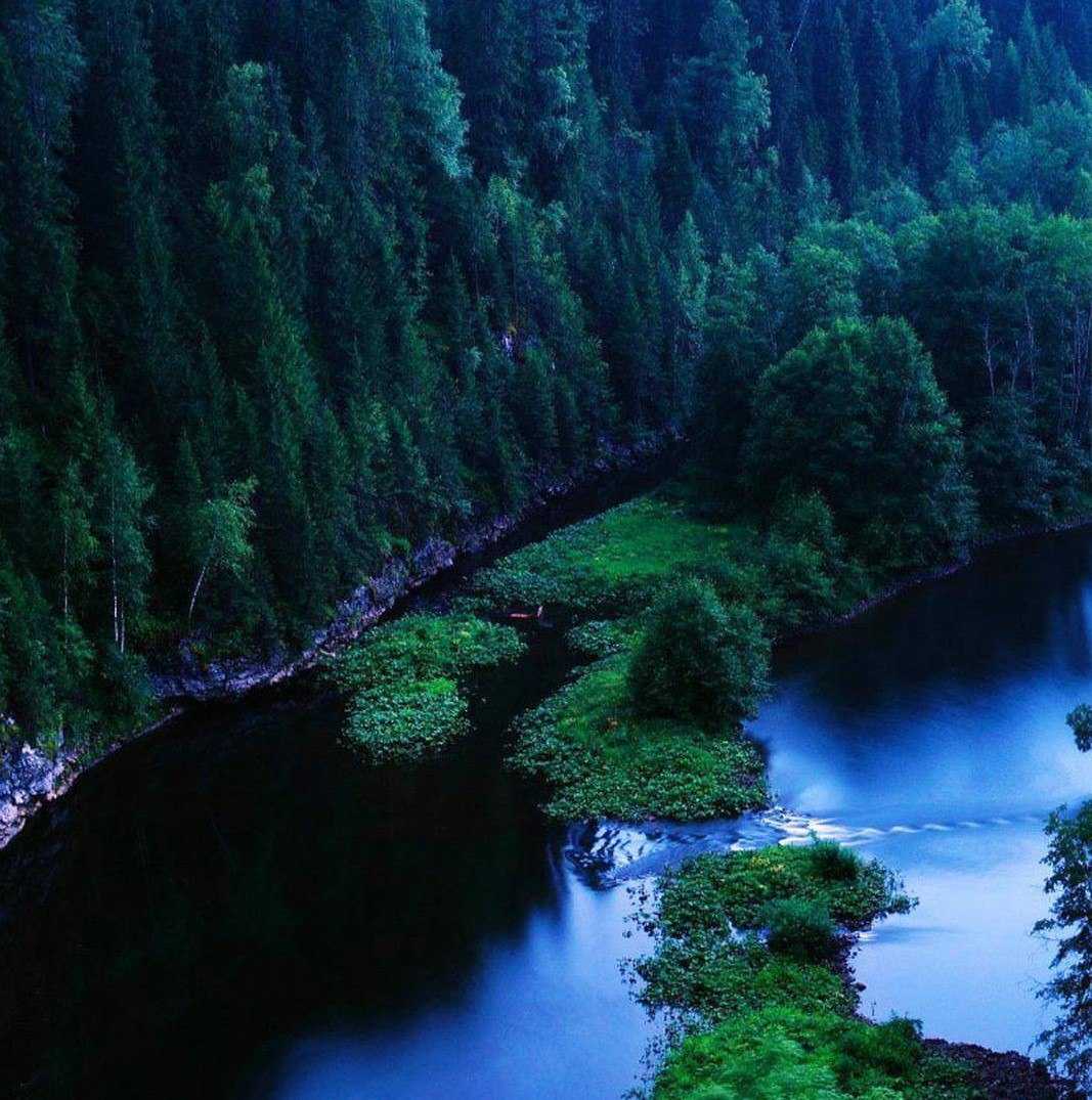 река вижай пермский край