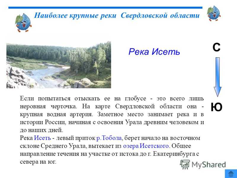 Откуда берет начало река исеть. Исток реки Исеть Свердловская область. Крупные реки Свердловской области на карте.
