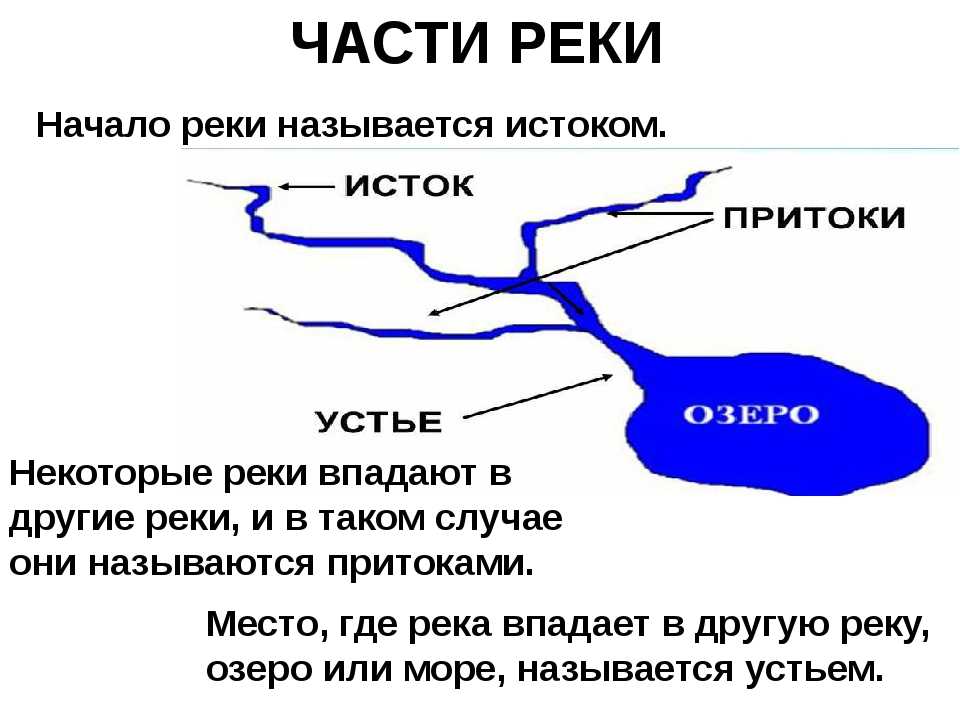 Рисунок как река впадает в озеро